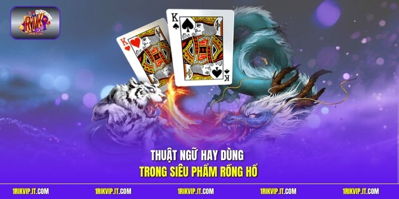 Thuật ngữ hay dùng trong siêu phẩm Rồng Hổ 